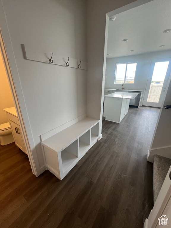 Mudroom featuring dark wood-type flooring and recessed lighting