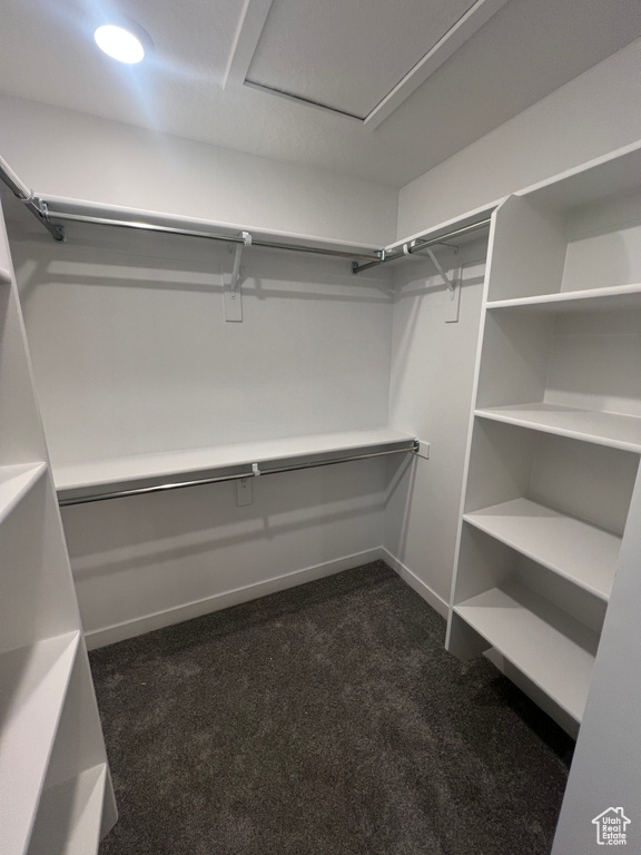 Spacious closet featuring dark colored carpet