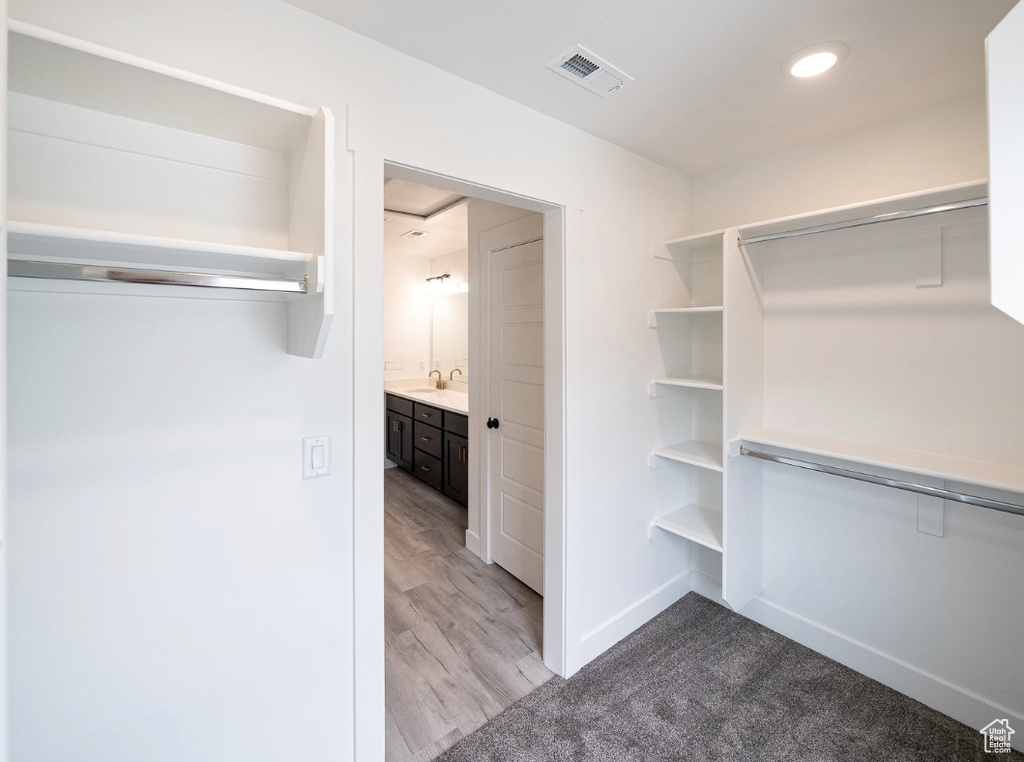 Walk in closet featuring light colored carpet