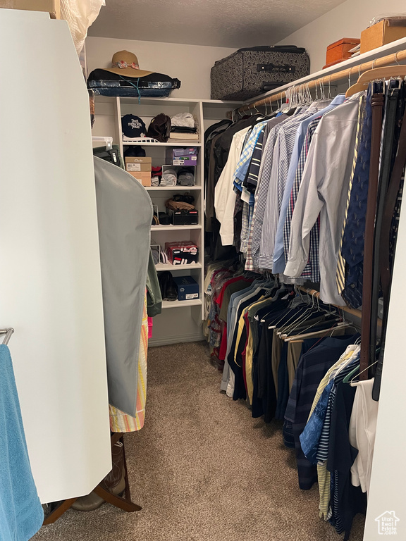 Spacious closet featuring carpet