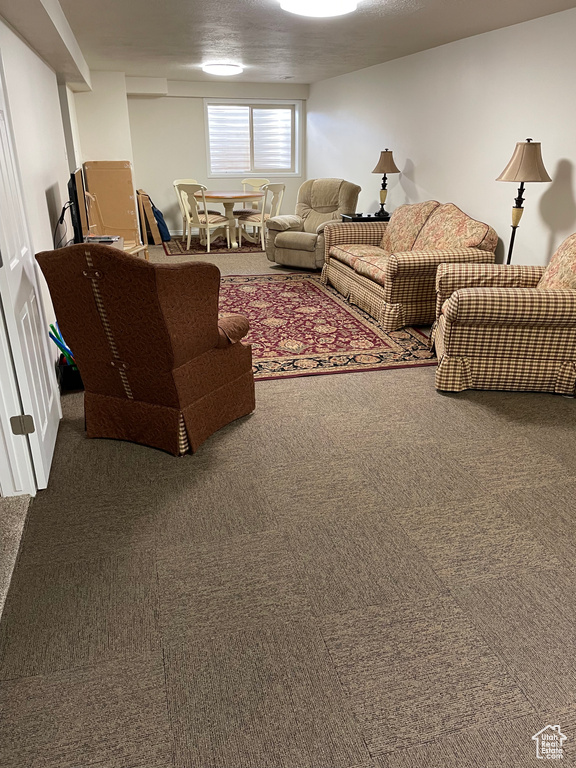 Living area featuring carpet floors