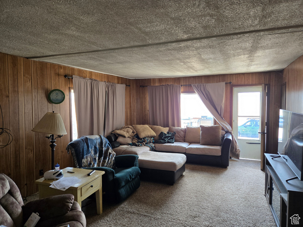 Carpeted living area with wooden walls