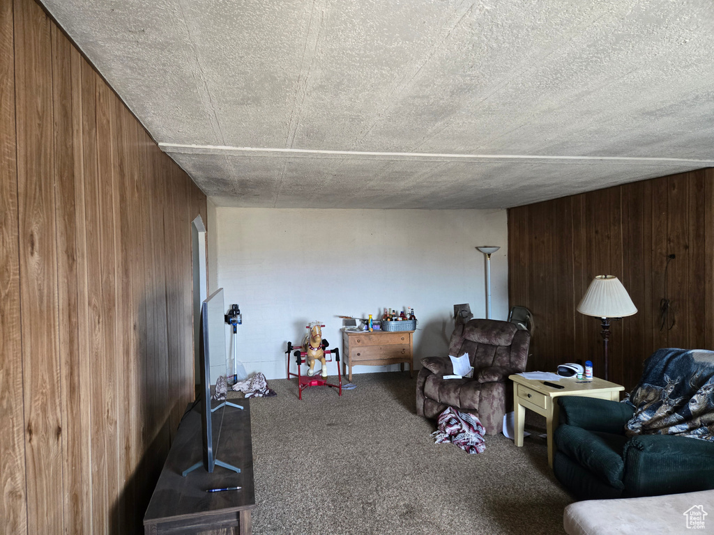 Living room featuring wooden walls and carpet