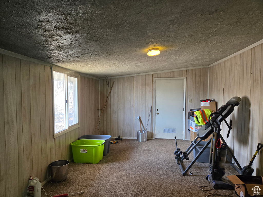 Game room featuring carpet flooring, wooden walls, and a textured ceiling