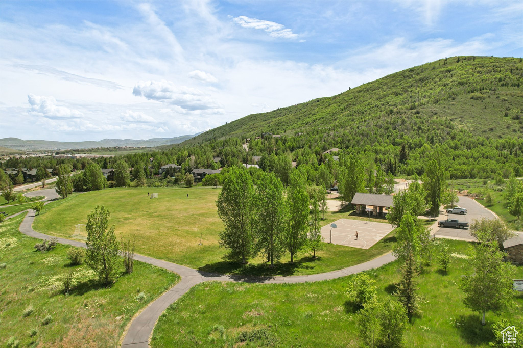 Mountain view featuring a forest