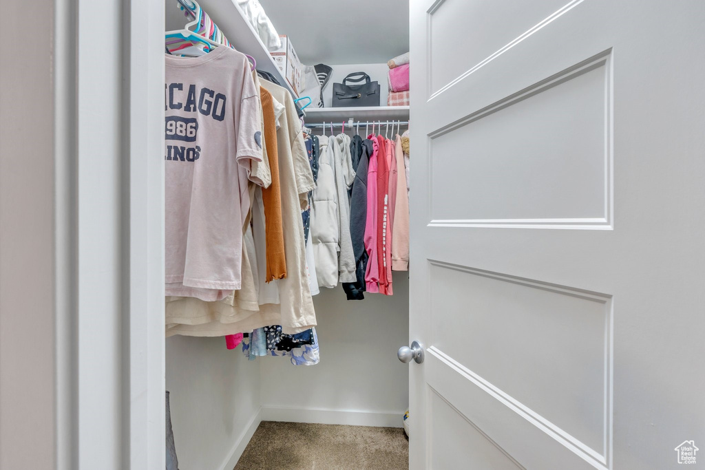 Spacious closet featuring carpet