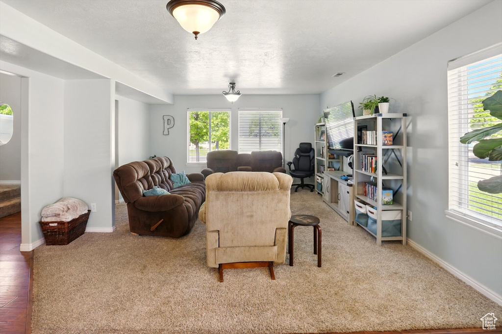 Living room with healthy amount of natural light, baseboards, and carpet floors