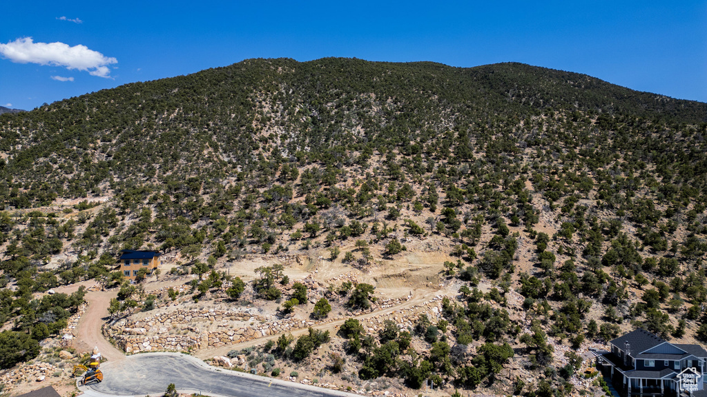 View of mountain background
