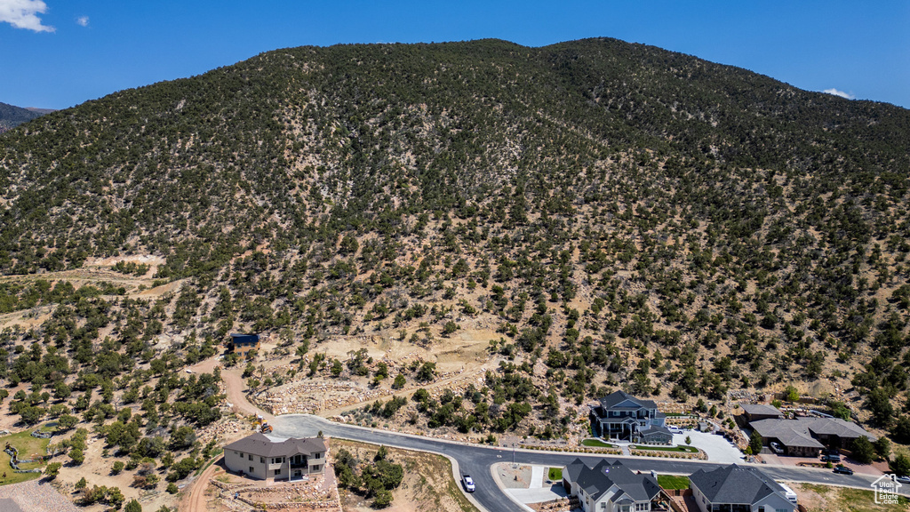 View of mountain background