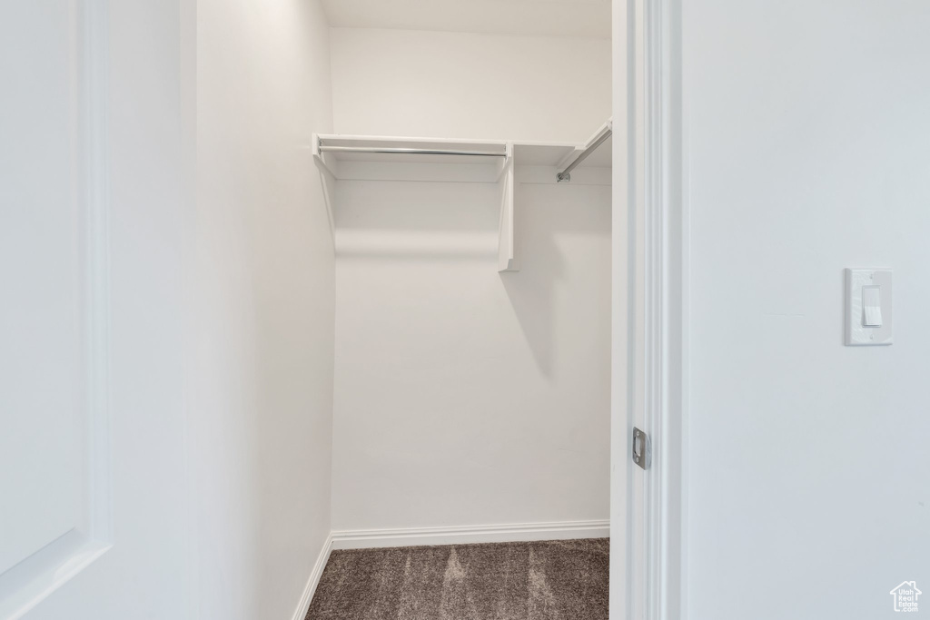 Spacious closet featuring carpet