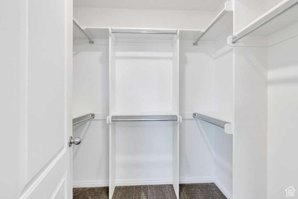Walk in closet with carpet flooring