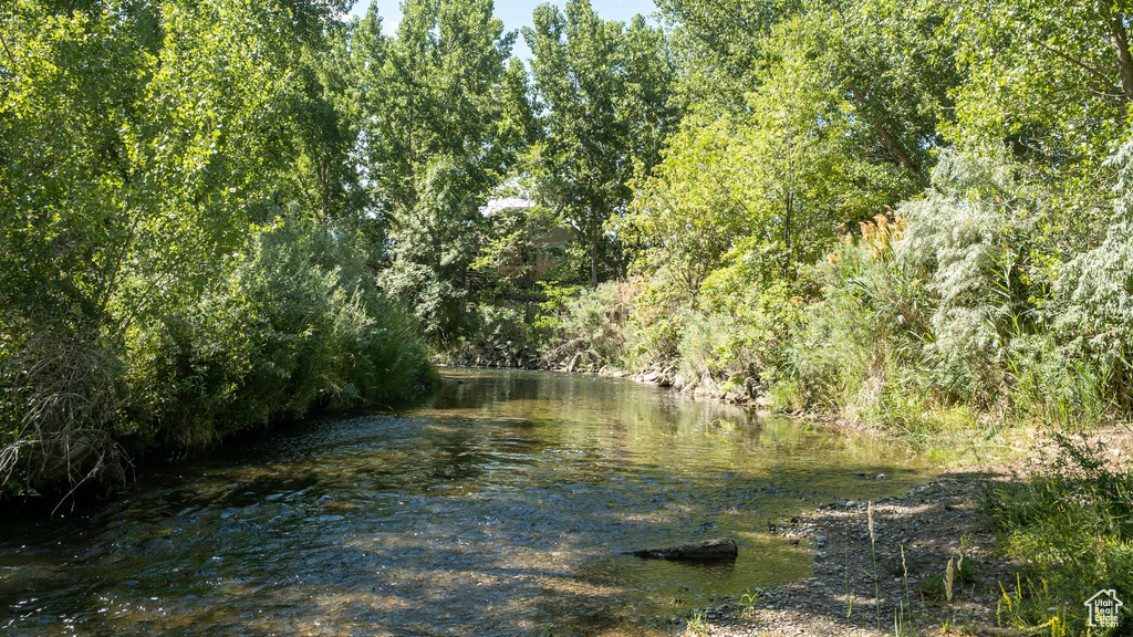 Water view with a heavily wooded area