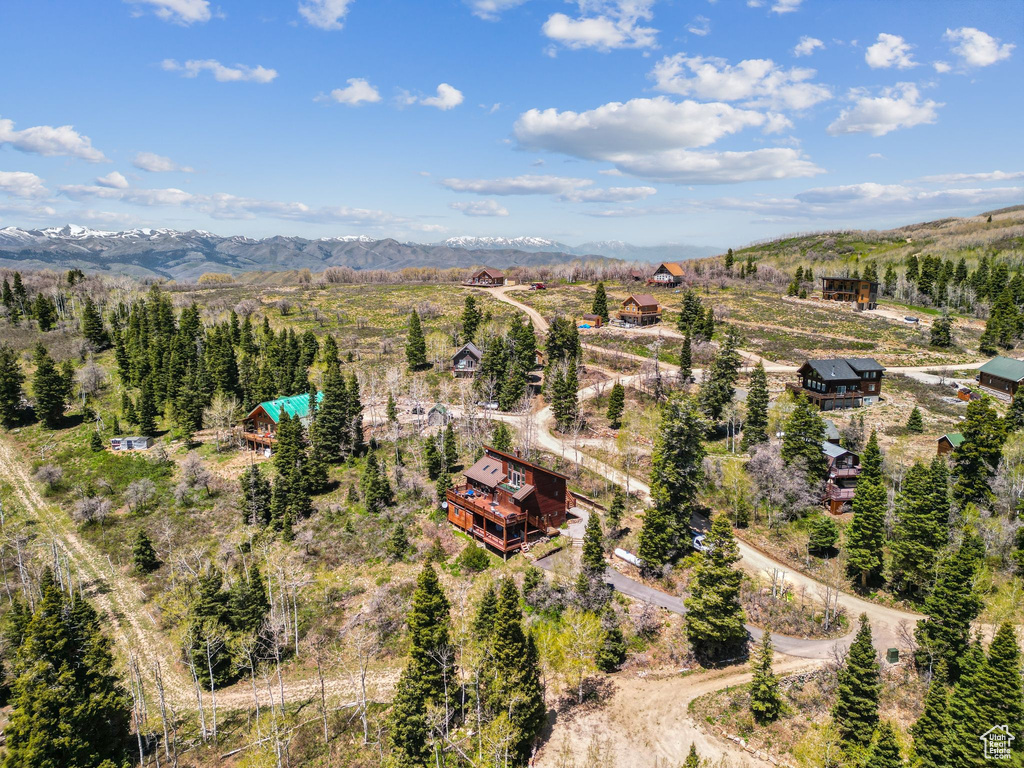 Drone / aerial view of a mountain backdrop