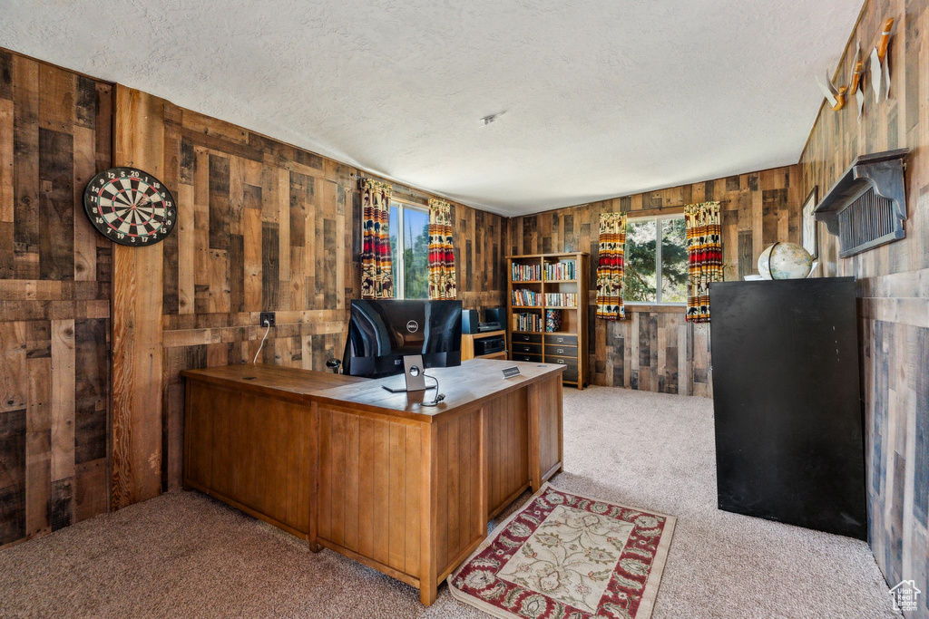 Office area featuring light carpet, wood walls, and a textured ceiling