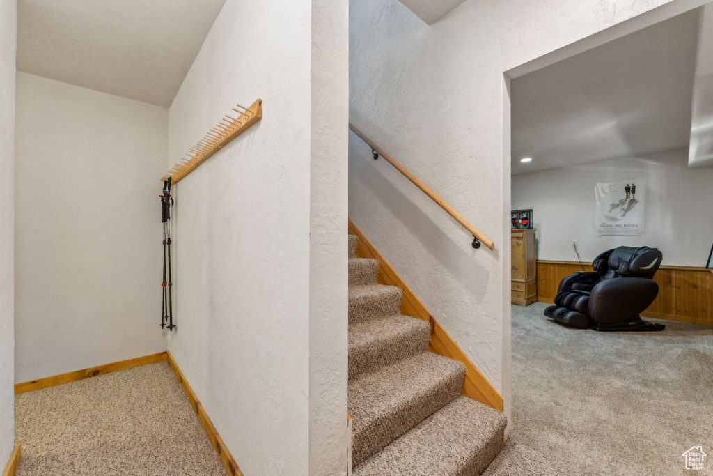 Stairs featuring carpet flooring and a wainscoted wall
