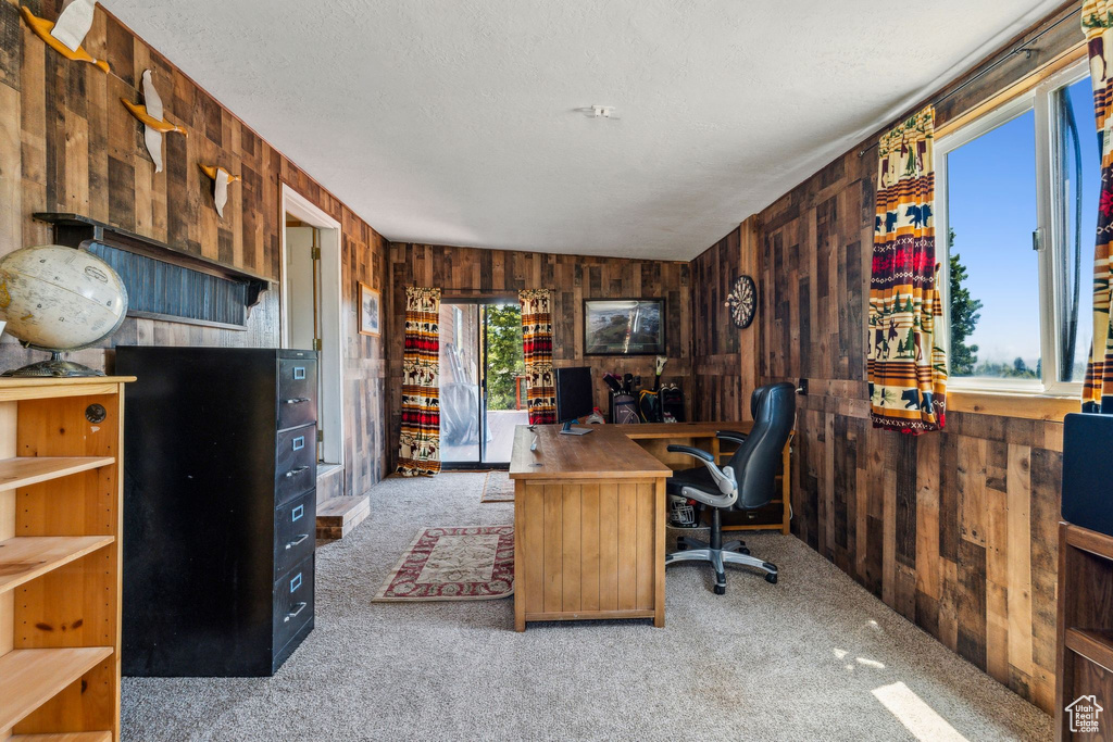 Office featuring wood walls, carpet, and a textured ceiling