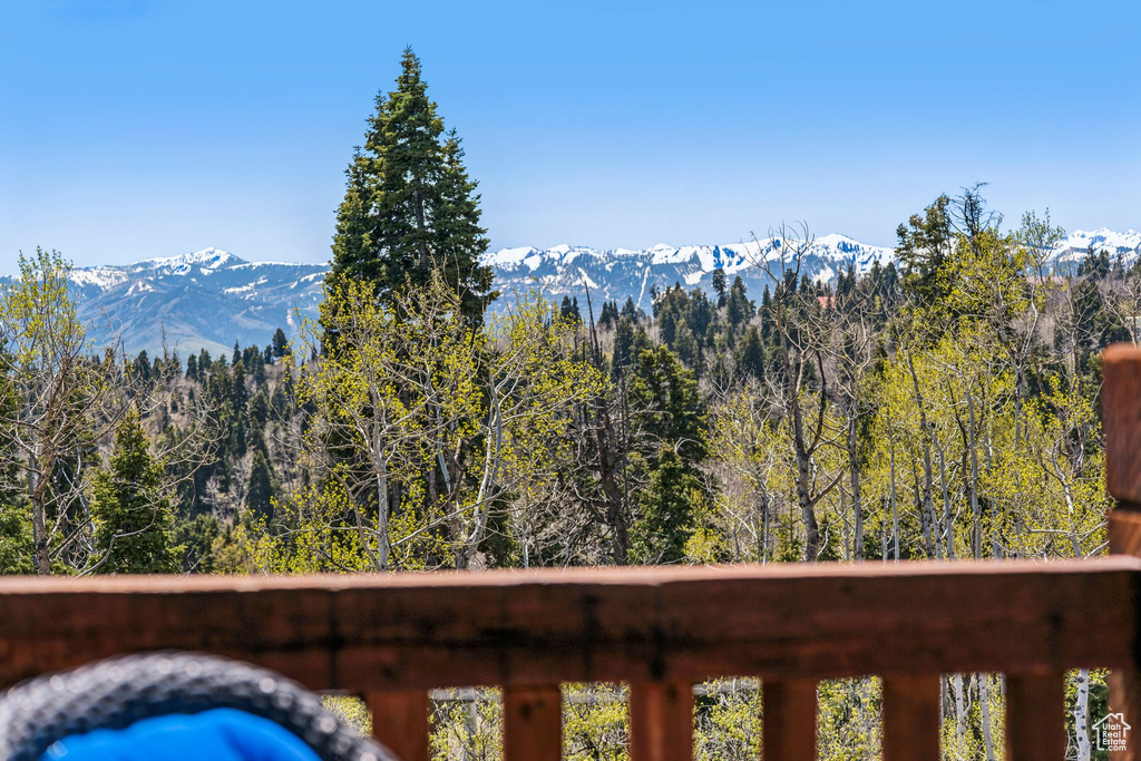 View of mountain backdrop with a forest