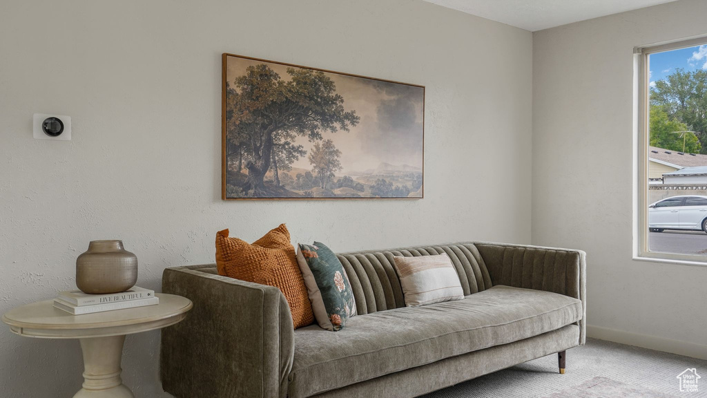 Sitting room featuring carpet and baseboards