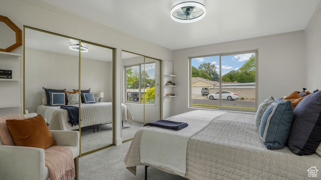 Carpeted bedroom featuring multiple closets and ornamental molding