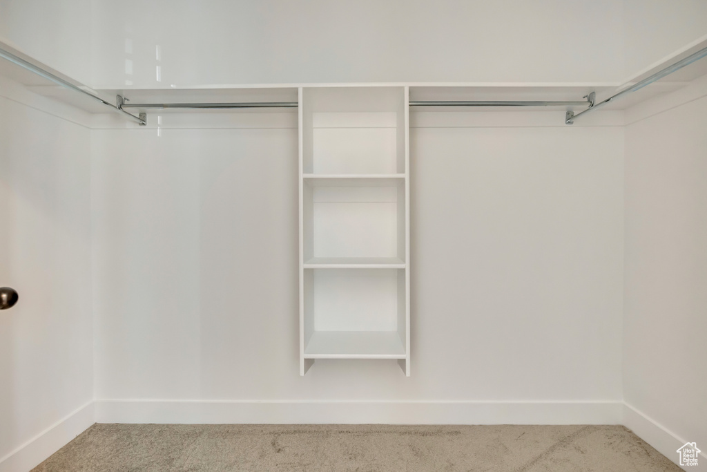 Spacious closet featuring carpet flooring