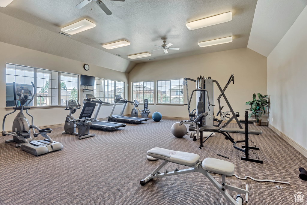 Exercise room featuring a ceiling fan, healthy amount of natural light, lofted ceiling, baseboards, and carpet floors