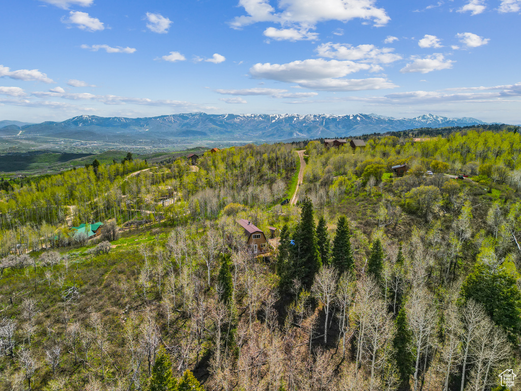 View of mountain background featuring a forest