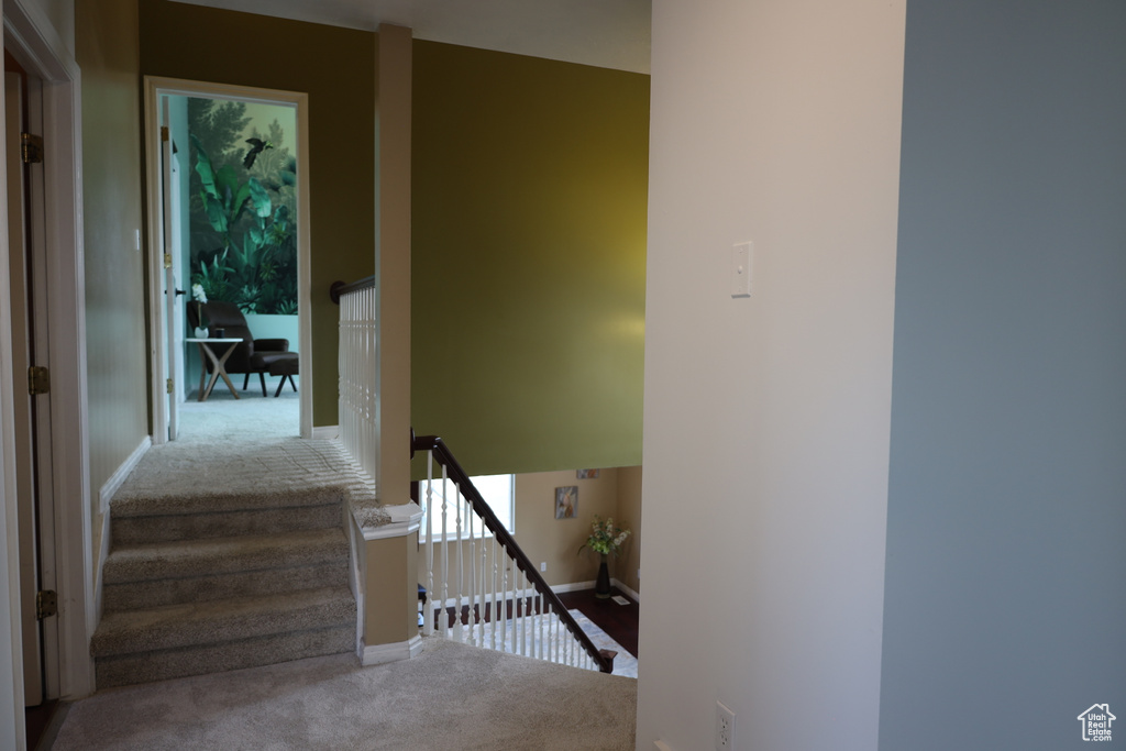 Staircase featuring carpet floors and baseboards