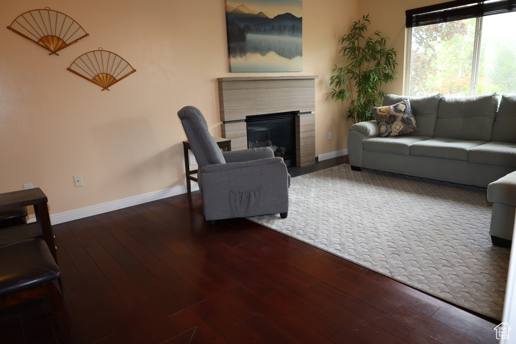 Living area with hardwood / wood-style flooring, a fireplace, and baseboards