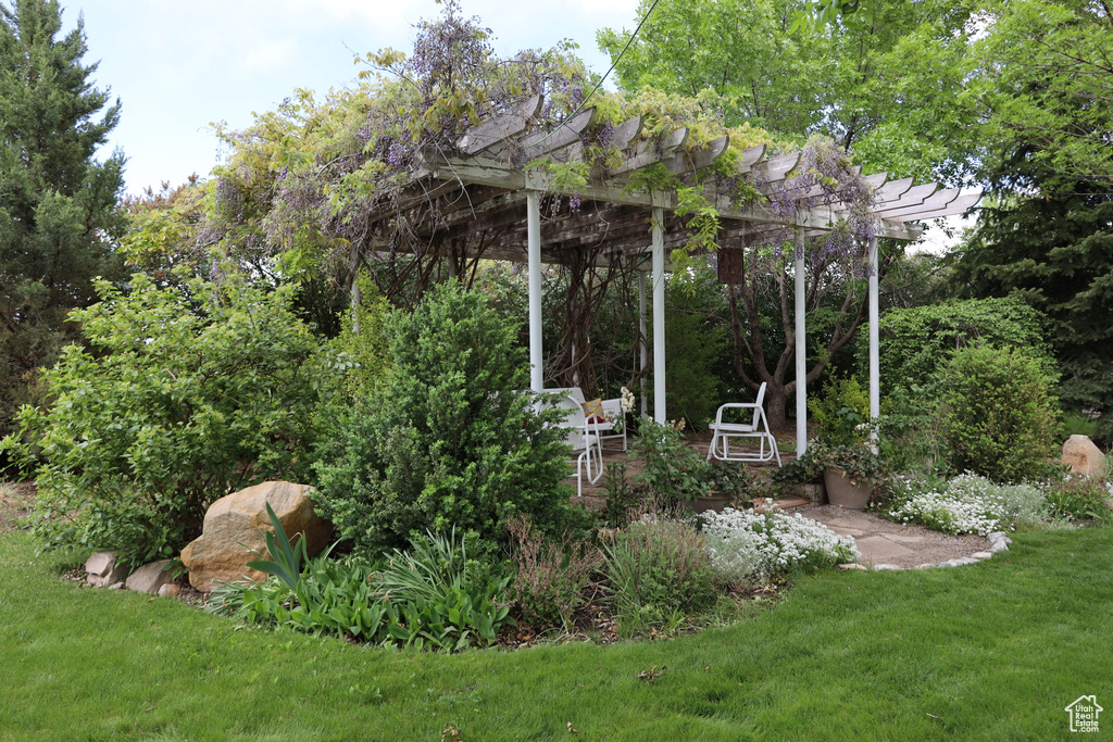 View of green lawn featuring a pergola and a patio area