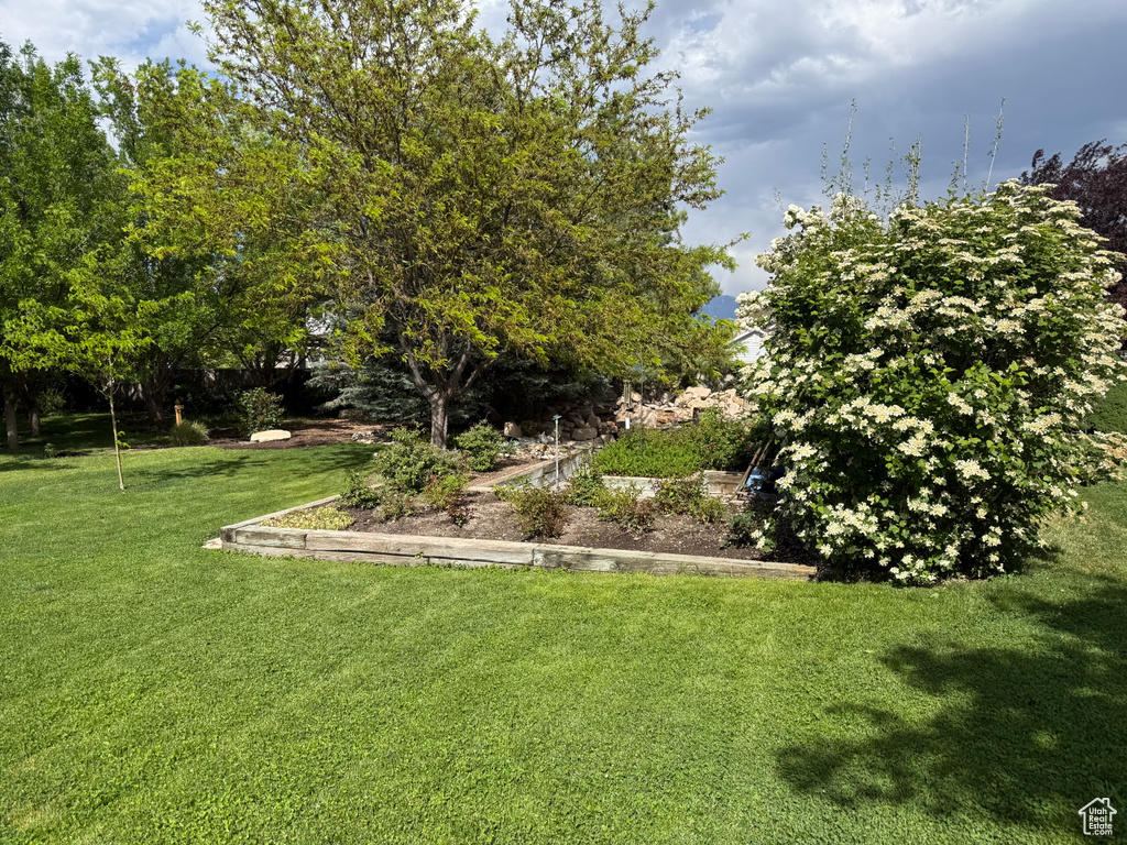 View of green lawn
