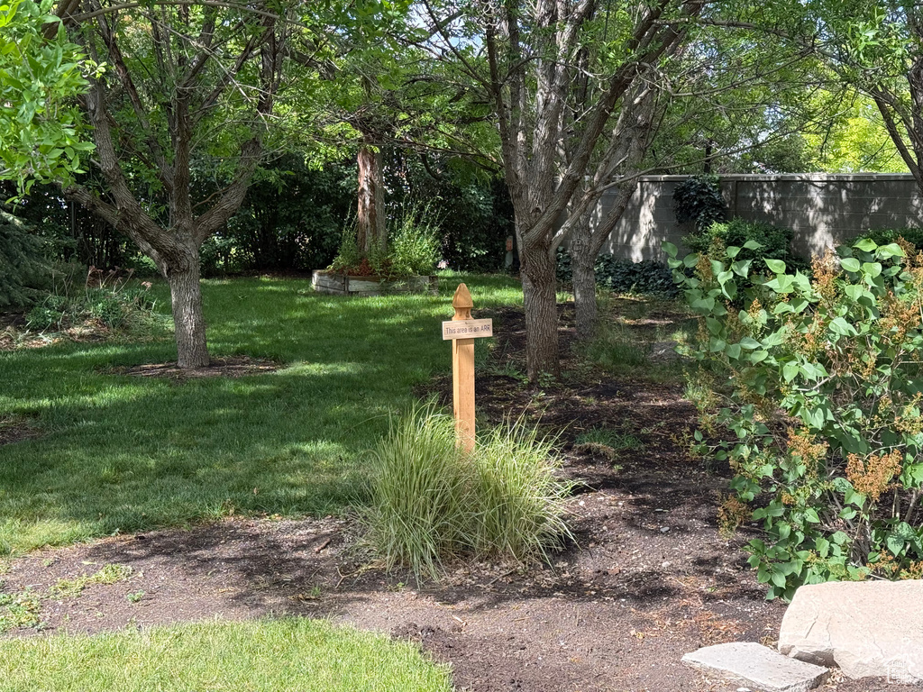 View of green lawn