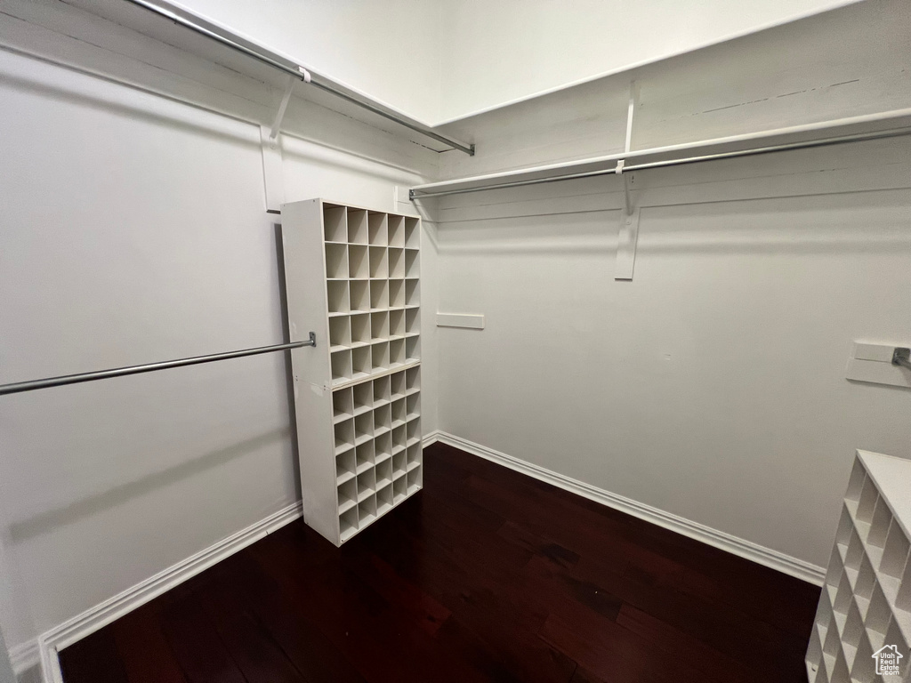 Walk in closet with wood finished floors