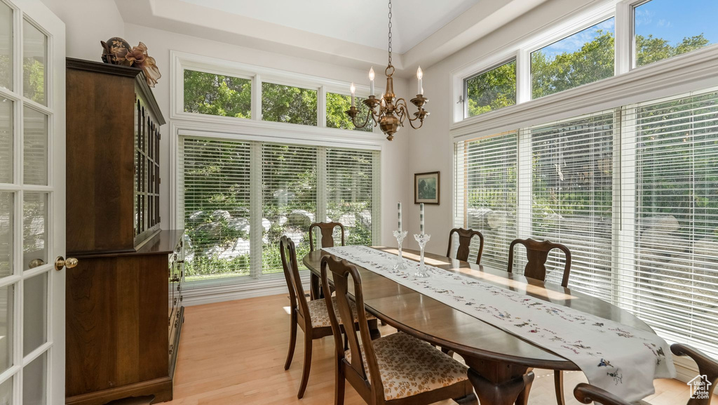 Dining room featuring a chandelier and light wood-type flooring