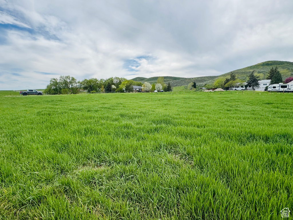 View of yard with a rural view and a mountain view