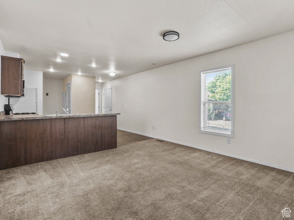 Unfurnished living room featuring carpet flooring, baseboards, and a sink