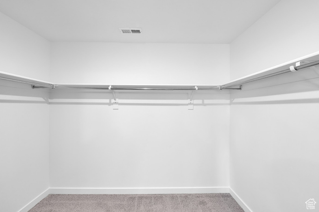 Walk in closet featuring carpet flooring