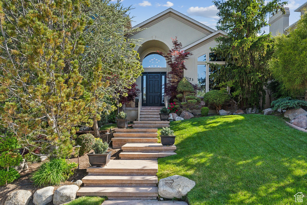 View of property hidden behind natural elements with a front lawn and stucco siding