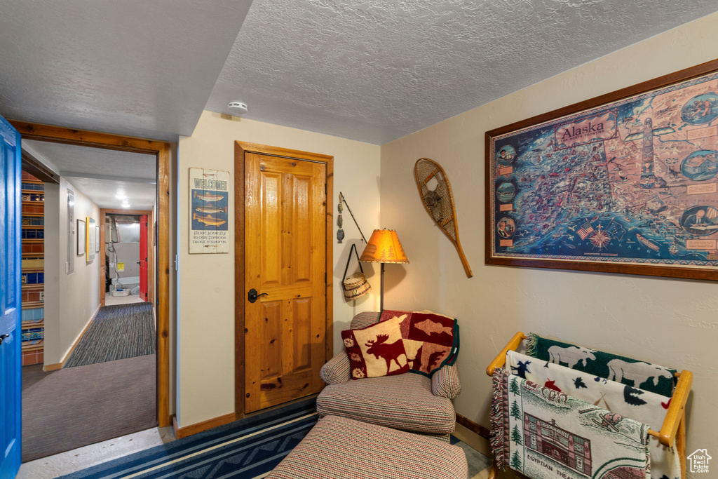 Living area featuring baseboards, a textured ceiling, and carpet