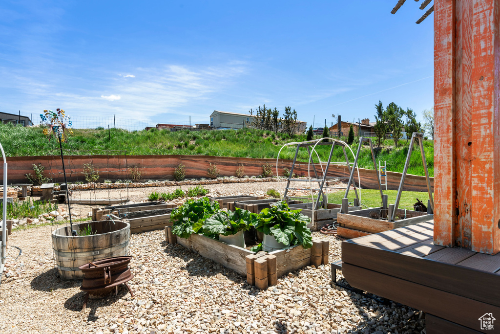 View of yard featuring a garden