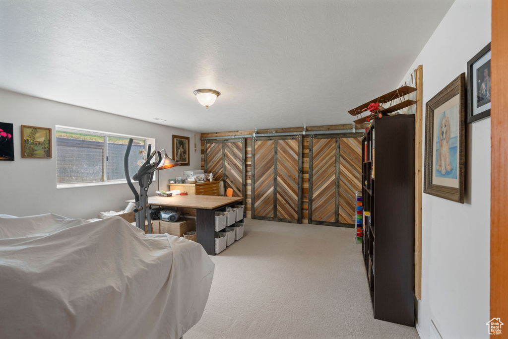 Rec room featuring carpet floors