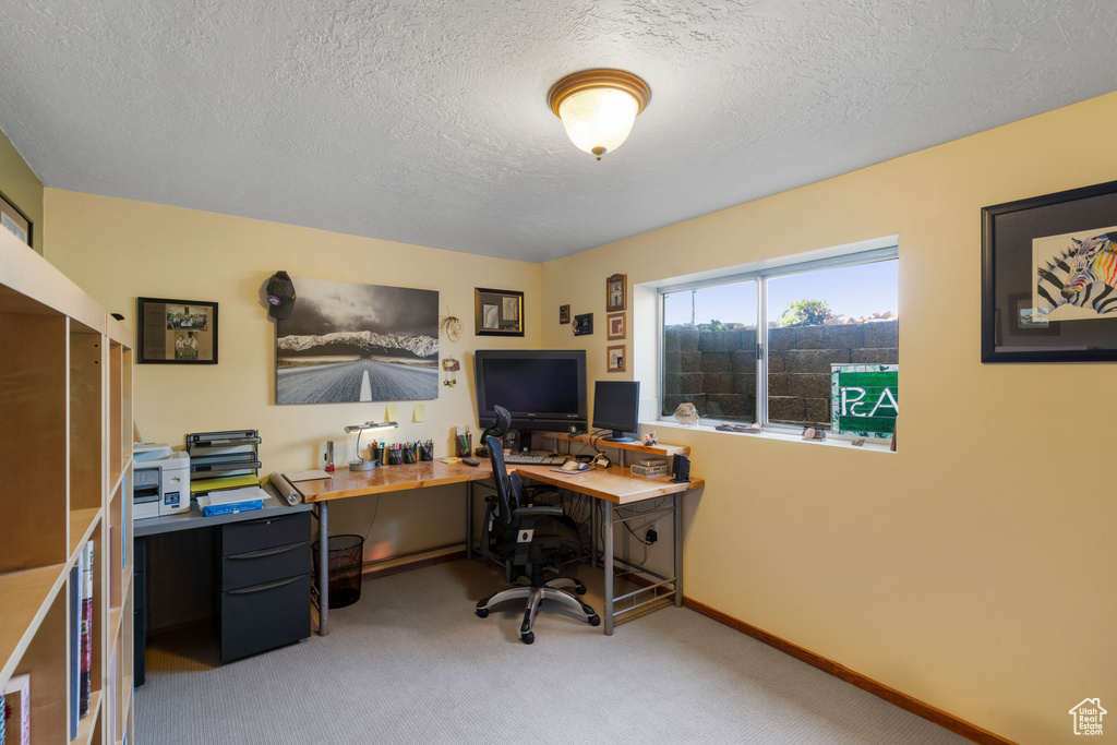 Office area featuring light carpet, a textured ceiling, and baseboards