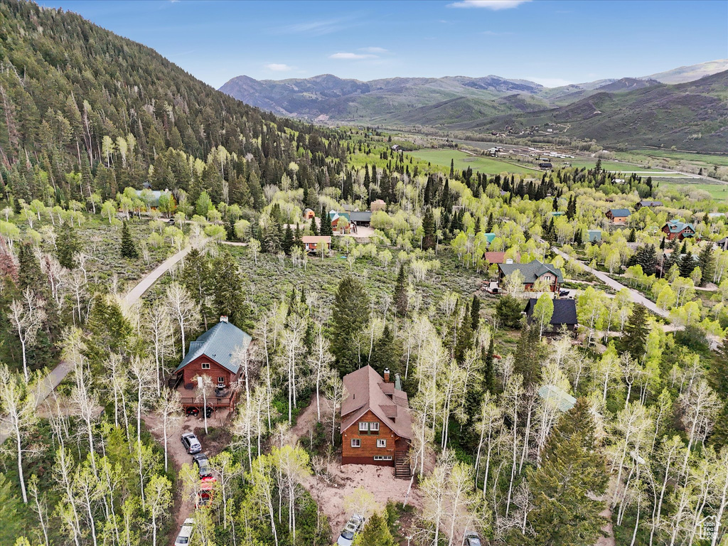 Aerial view of a mountainous background and a heavily wooded area