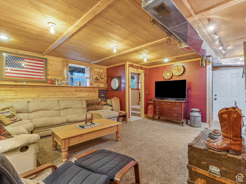 Carpeted living room with wood ceiling and baseboards