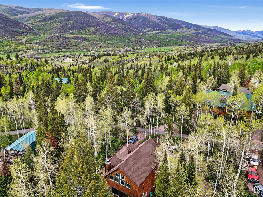 Bird's eye view of a mountainous background