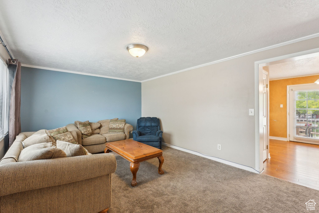 Carpeted living room featuring baseboards, a textured ceiling, and ornamental molding