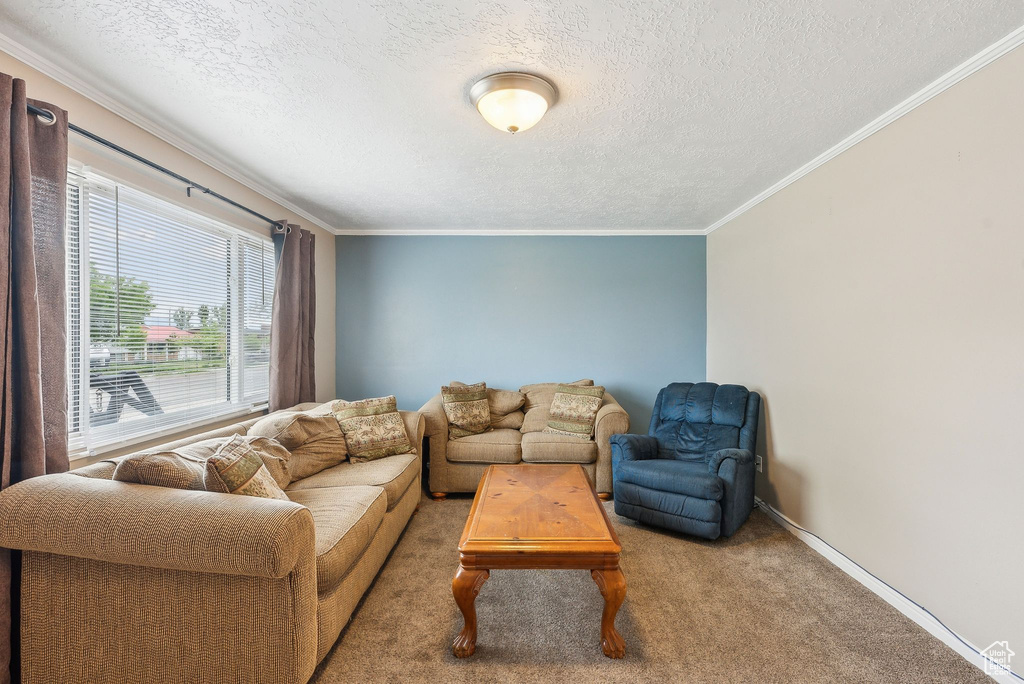 Carpeted living area with a textured ceiling, ornamental molding, and baseboards