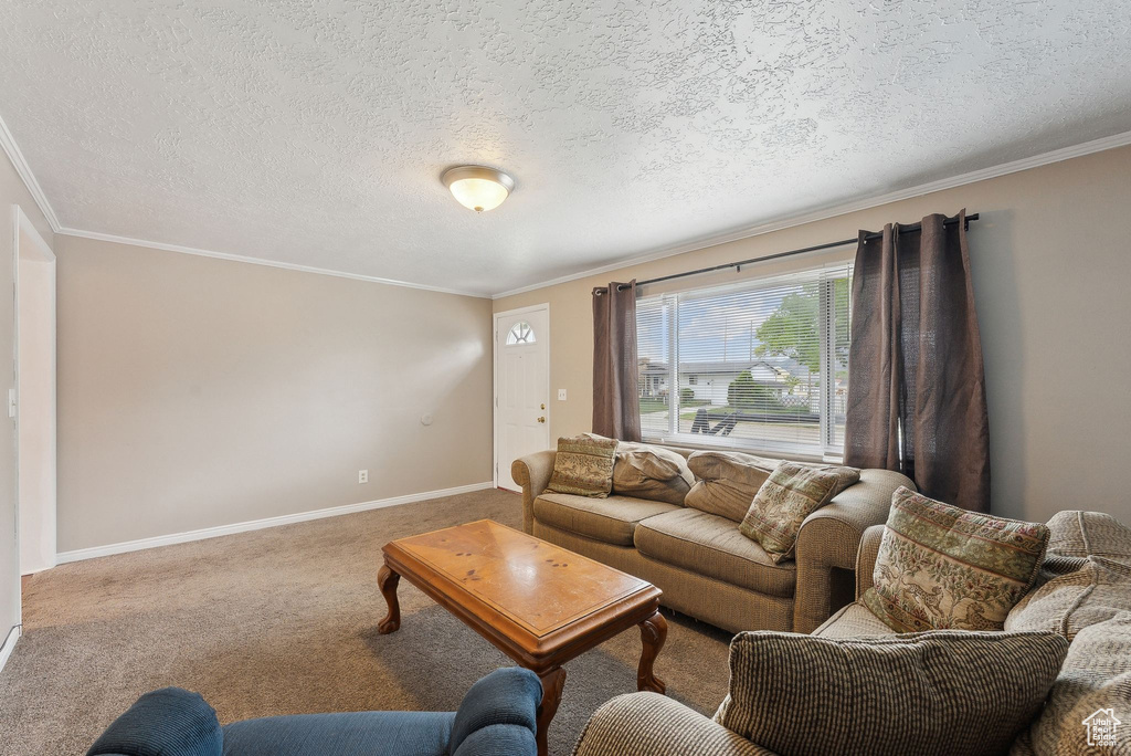 Carpeted living room with a textured ceiling, crown molding, and baseboards