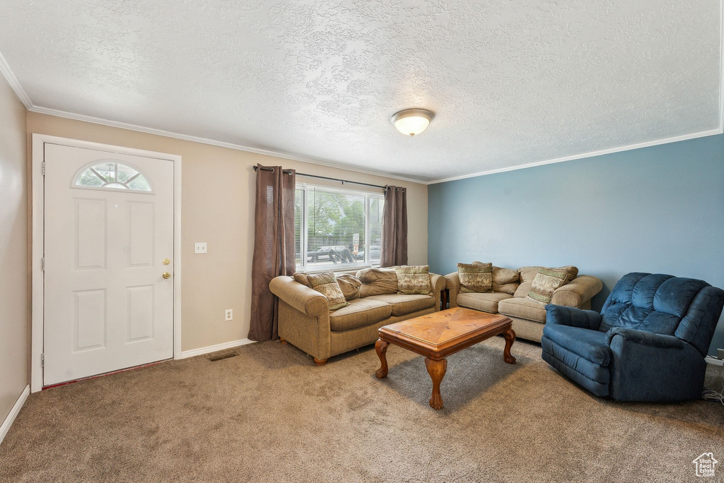 Carpeted living room with a textured ceiling, crown molding, and baseboards
