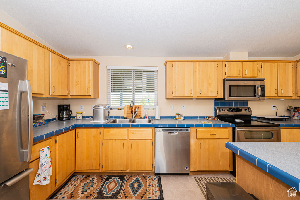Kitchen featuring stainless steel appliances, a sink, and recessed lighting
