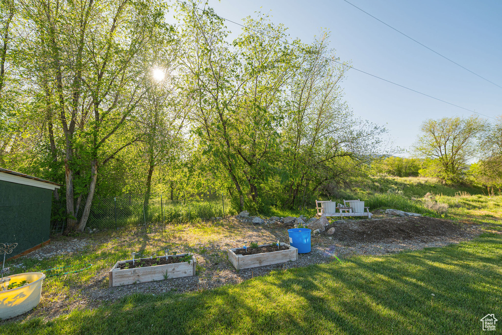 View of green lawn with a vegetable garden